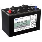 Batteri til Rengringsmaskine Numatic TTB 4055 (GF12076V)